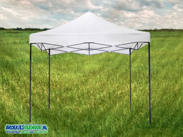 partytent goedkoop